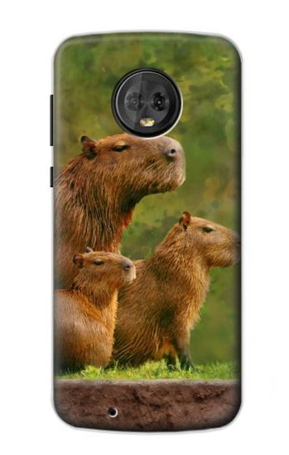S3917 Capybara Family Giant Guinea Pig Hülle Schutzhülle Taschen für Motorola Moto G6
