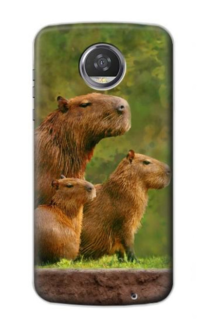 S3917 Capybara Family Giant Guinea Pig Hülle Schutzhülle Taschen für Motorola Moto Z2 Play, Z2 Force