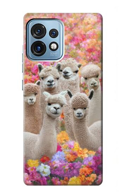 S3916 Alpaca Family Baby Alpaca Hülle Schutzhülle Taschen für Motorola Edge+ (2023), X40, X40 Pro, Edge 40 Pro