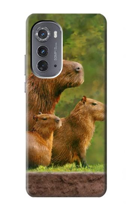 S3917 Capybara Family Giant Guinea Pig Hülle Schutzhülle Taschen für Motorola Edge (2022)