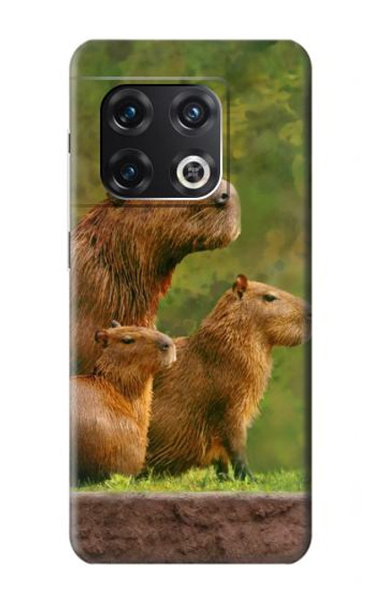 S3917 Capybara Family Giant Guinea Pig Hülle Schutzhülle Taschen für OnePlus 10 Pro