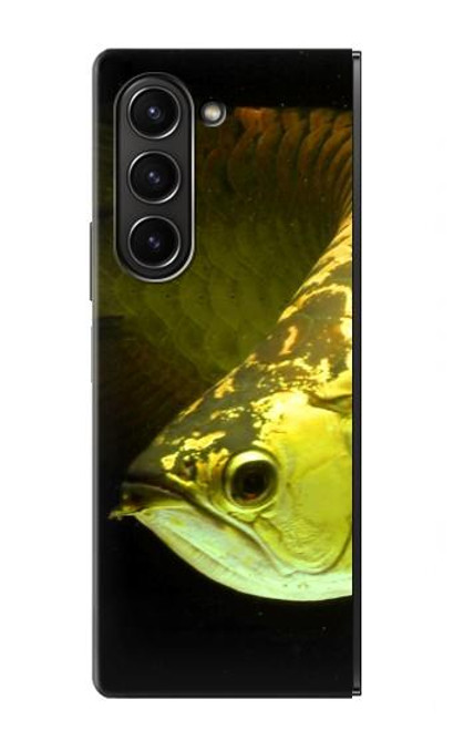 S1021 Gold Arowana Fish Hülle Schutzhülle Taschen für Samsung Galaxy Z Fold 5