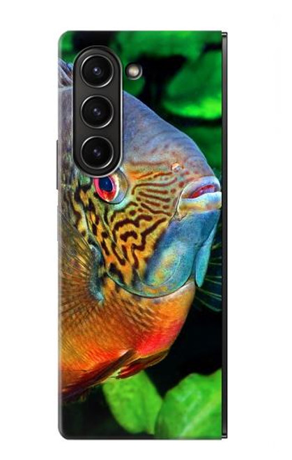 S1812 Cichlid Fish Hülle Schutzhülle Taschen für Samsung Galaxy Z Fold 5