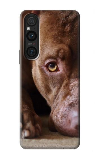 S0519 PitBull Face Hülle Schutzhülle Taschen für Sony Xperia 1 V