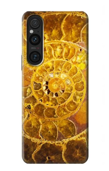 S1789 Ammonite Fossils Hülle Schutzhülle Taschen für Sony Xperia 1 V