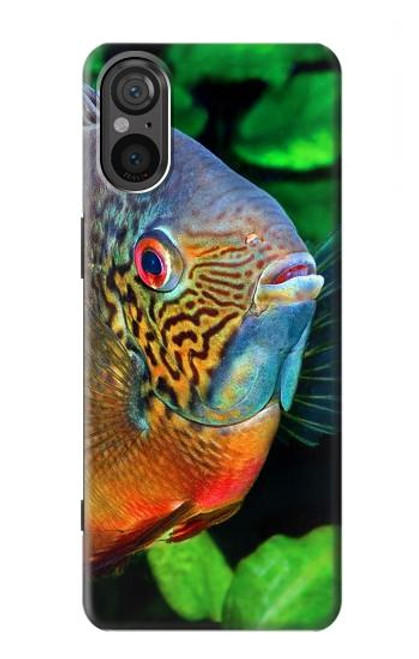 S1812 Cichlid Fish Hülle Schutzhülle Taschen für Sony Xperia 5 V