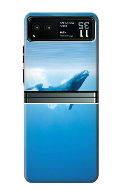 S0843 Blue Whale Hülle Schutzhülle Taschen für Motorola Razr 40