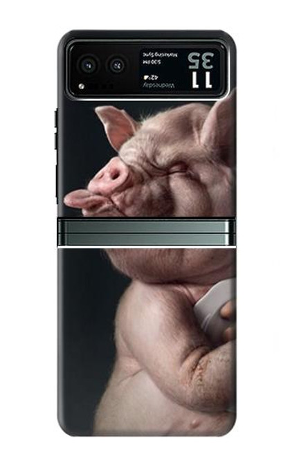 S1273 Crazy Pig Hülle Schutzhülle Taschen für Motorola Razr 40