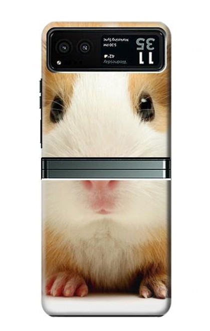 S1619 Cute Guinea Pig Hülle Schutzhülle Taschen für Motorola Razr 40