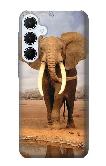 S0310 African Elephant Hülle Schutzhülle Taschen für Samsung Galaxy A55 5G