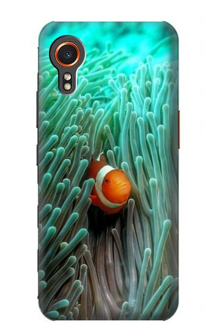 S3893 Ocellaris clownfish Hülle Schutzhülle Taschen für Samsung Galaxy Xcover7