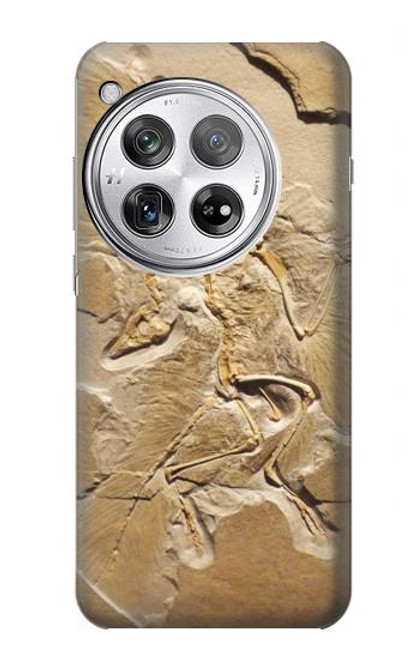 S0380 Dinosaur Fossil Hülle Schutzhülle Taschen für OnePlus 12