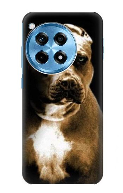 S0520 PitBull Hülle Schutzhülle Taschen für OnePlus 12R