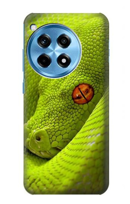 S0785 Green Snake Hülle Schutzhülle Taschen für OnePlus 12R