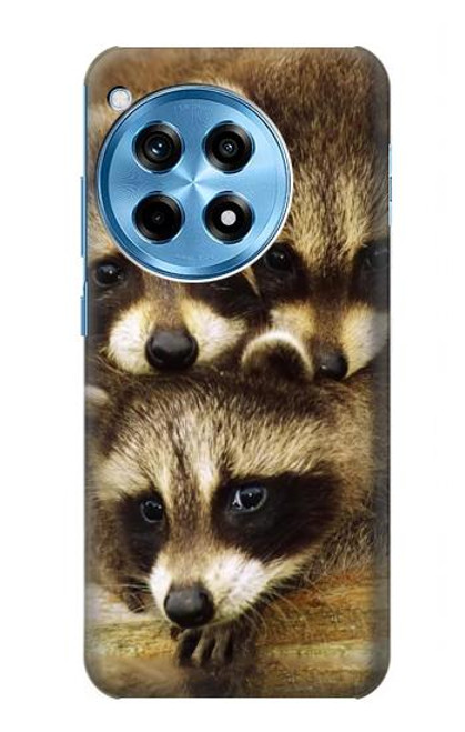 S0977 Baby Raccoons Hülle Schutzhülle Taschen für OnePlus 12R