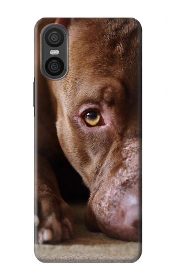 S0519 PitBull Face Hülle Schutzhülle Taschen für Sony Xperia 10 VI