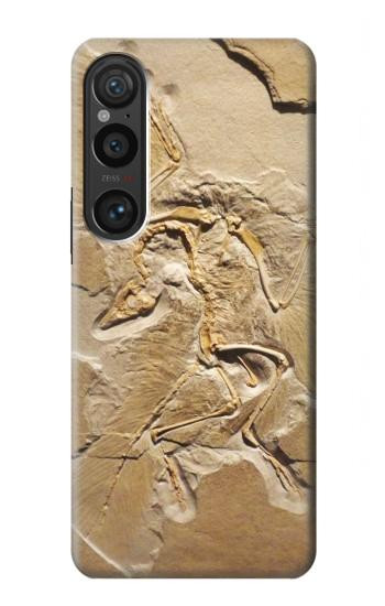 S0380 Dinosaur Fossil Hülle Schutzhülle Taschen für Sony Xperia 1 VI