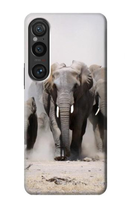 S3142 African Elephant Hülle Schutzhülle Taschen für Sony Xperia 1 VI