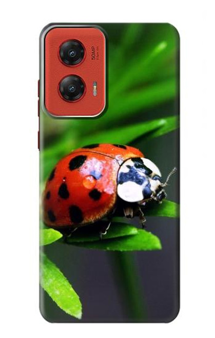 S0263 Ladybug Hülle Schutzhülle Taschen für Motorola Moto G Stylus 5G (2024)