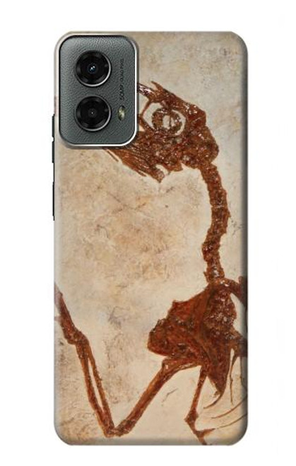 S0379 Dinosaur Fossil Hülle Schutzhülle Taschen für Motorola Moto G 5G (2024)