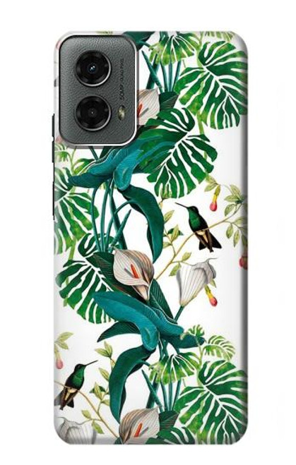 S3697 Leaf Life Birds Hülle Schutzhülle Taschen für Motorola Moto G 5G (2024)