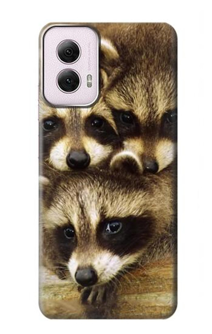 S0977 Baby Raccoons Hülle Schutzhülle Taschen für Motorola Moto G Power 5G (2024)