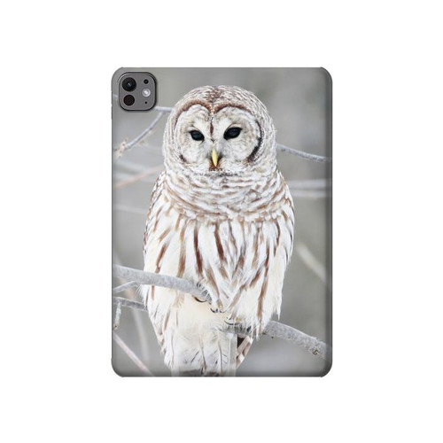 S1566 Snowy Owl White Owl Hülle Schutzhülle Taschen für iPad Pro 11 (2024)