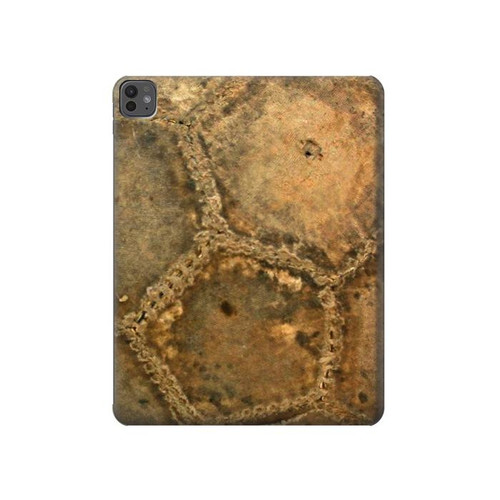 S2531 Old Soccer Ball Hülle Schutzhülle Taschen für iPad Pro 13 (2024,2025)