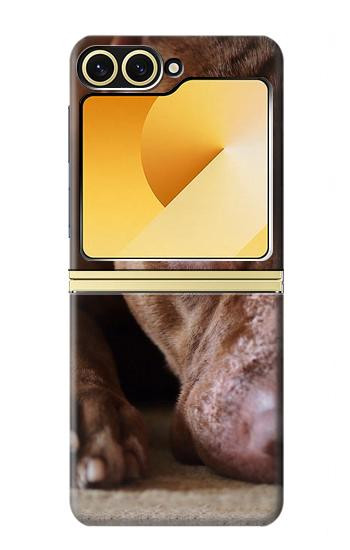 S0519 PitBull Face Hülle Schutzhülle Taschen für Samsung Galaxy Z Flip 6, Flip 7 FE