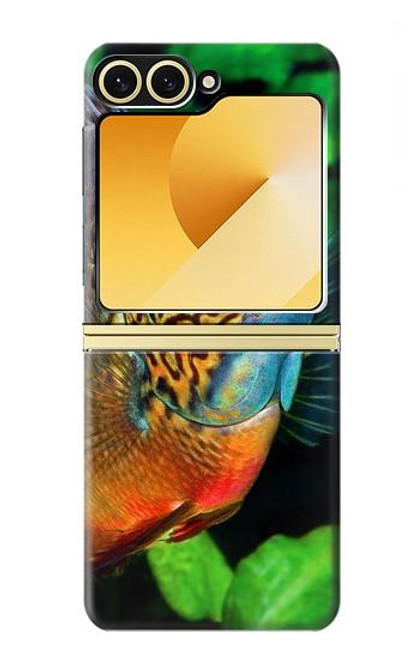 S1812 Cichlid Fish Hülle Schutzhülle Taschen für Samsung Galaxy Z Flip 6, Flip 7 FE