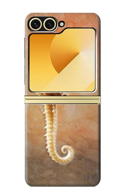 S2674 Seahorse Skeleton Fossil Hülle Schutzhülle Taschen für Samsung Galaxy Z Flip 6, Flip 7 FE