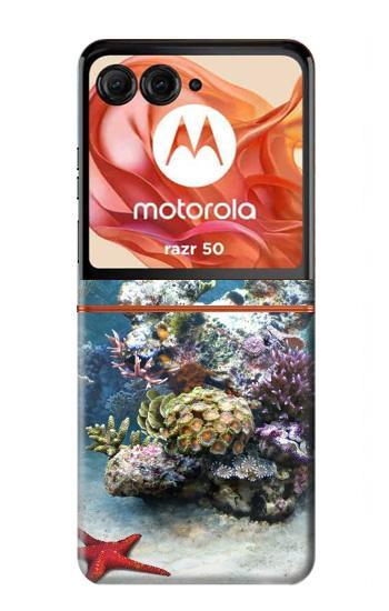 S0227 Aquarium Hülle Schutzhülle Taschen für Motorola Razr 70,60,50, Razr (2026, 2025, 2024)