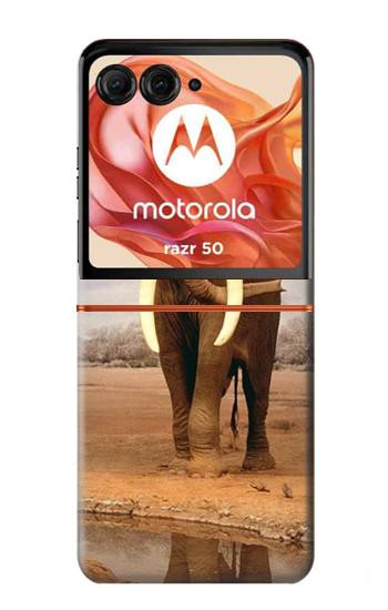 S0310 African Elephant Hülle Schutzhülle Taschen für Motorola Razr 70,60,50, Razr (2026, 2025, 2024)