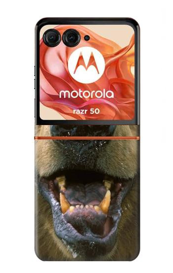 S0840 Grizzly Bear Face Hülle Schutzhülle Taschen für Motorola Razr 70,60,50, Razr (2026, 2025, 2024)