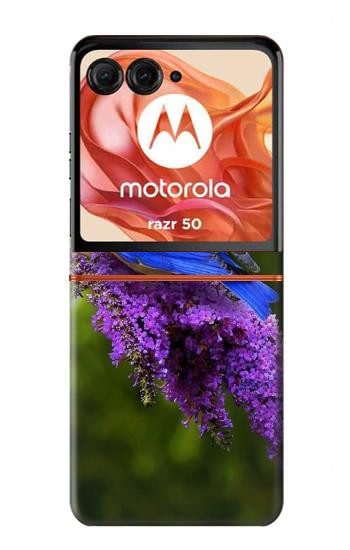 S1565 Bluebird of Happiness Blue Bird Hülle Schutzhülle Taschen für Motorola Razr 70,60,50, Razr (2026, 2025, 2024)