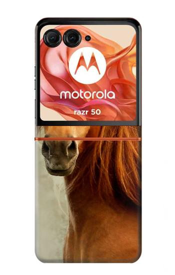 S1595 Beautiful Brown Horse Hülle Schutzhülle Taschen für Motorola Razr 70,60,50, Razr (2026, 2025, 2024)