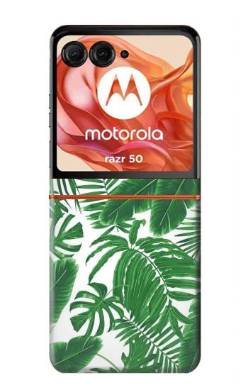 S3457 Paper Palm Monstera Hülle Schutzhülle Taschen für Motorola Razr 70,60,50, Razr (2026, 2025, 2024)