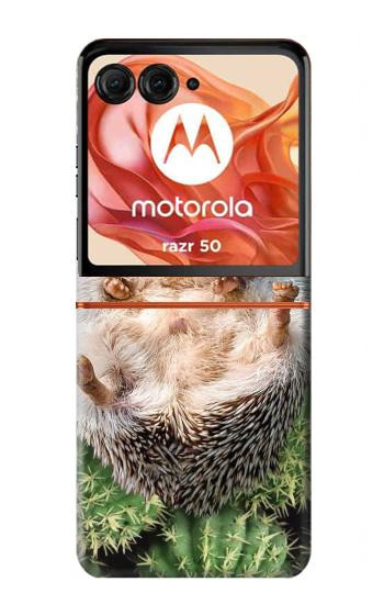 S3863 Pygmy Hedgehog Dwarf Hedgehog Paint Hülle Schutzhülle Taschen für Motorola Razr 70,60,50, Razr (2026, 2025, 2024)