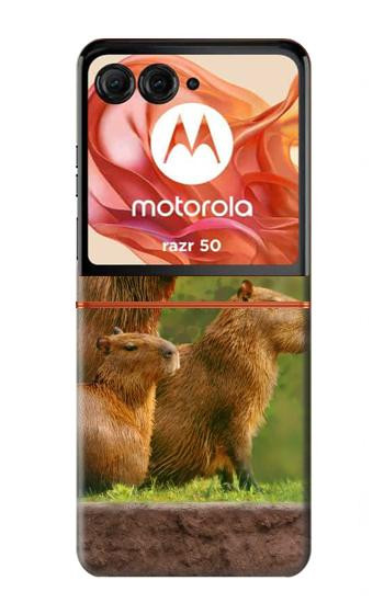 S3917 Capybara Family Giant Guinea Pig Hülle Schutzhülle Taschen für Motorola Razr 70,60,50, Razr (2026, 2025, 2024)
