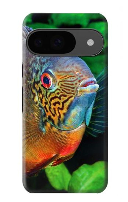 S1812 Cichlid Fish Hülle Schutzhülle Taschen für Google Pixel 9
