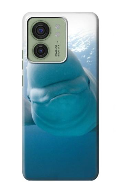 S1801 Beluga Whale Smile Whale Hülle Schutzhülle Taschen für Motorola Edge (2023), Edge 40
