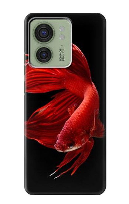 S2092 Red Siamese Fighting Fish Hülle Schutzhülle Taschen für Motorola Edge (2023), Edge 40