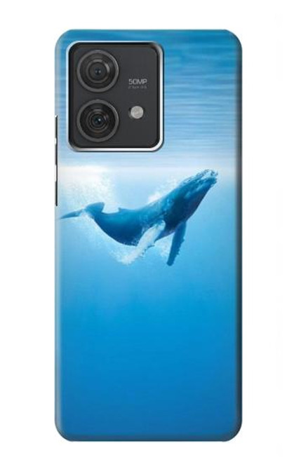 S0843 Blue Whale Hülle Schutzhülle Taschen für Motorola Edge 40 Neo