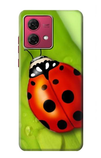 S0892 Ladybug Hülle Schutzhülle Taschen für Motorola Moto G84