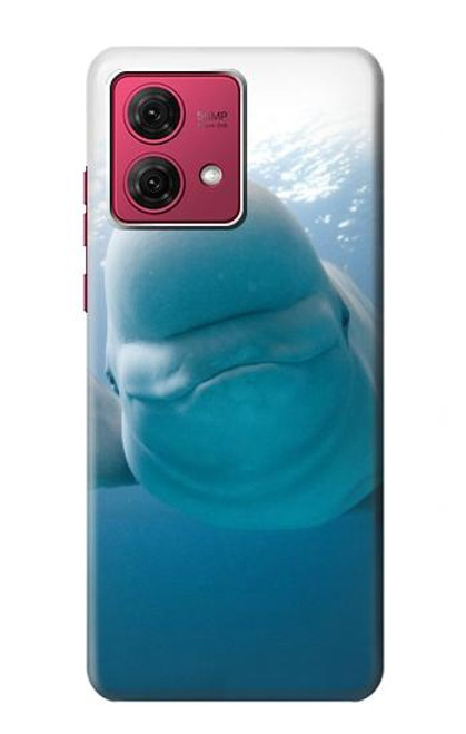 S1801 Beluga Whale Smile Whale Hülle Schutzhülle Taschen für Motorola Moto G84