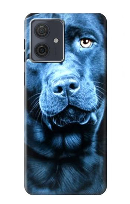 S0750 Labrador Retriever Hülle Schutzhülle Taschen für Motorola Moto G54