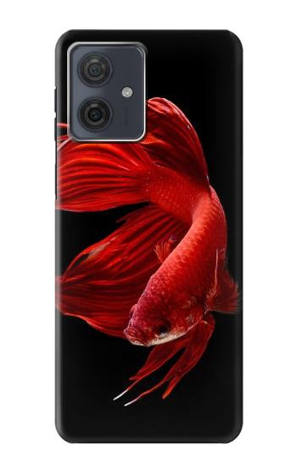S2092 Red Siamese Fighting Fish Hülle Schutzhülle Taschen für Motorola Moto G54