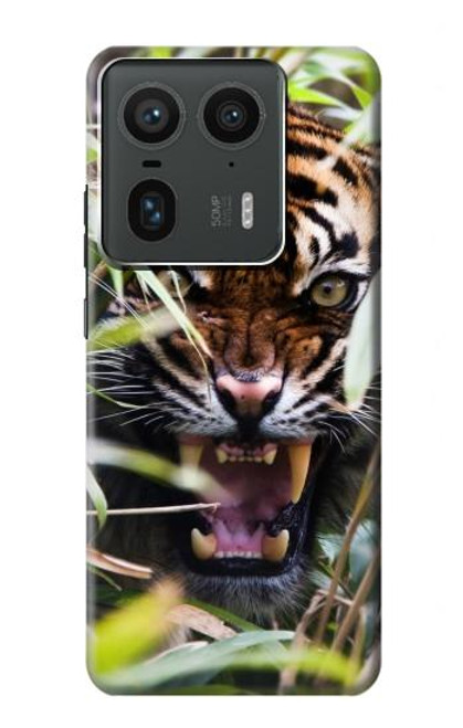 S3838 Barking Bengal Tiger Hülle Schutzhülle Taschen für Motorola Edge 50 Ultra