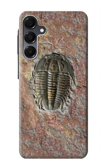 S1454 Trilobite Fossil Hülle Schutzhülle Taschen für Samsung Galaxy A16 5G