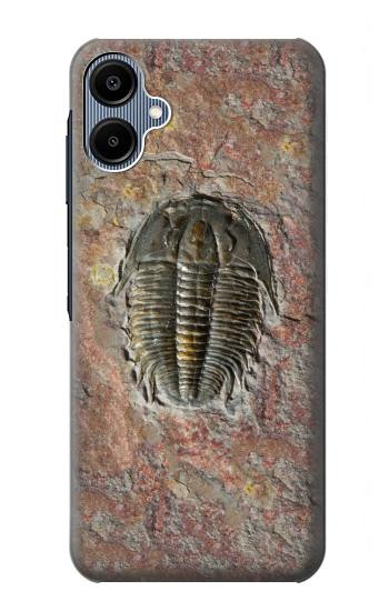 S1454 Trilobite Fossil Hülle Schutzhülle Taschen für Samsung Galaxy A06